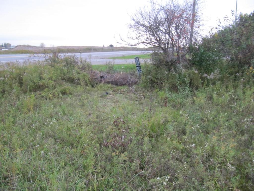 Figure 9: View looking back (northward) on the other side of the bushes and fence where the vehicle came to rest. 2.