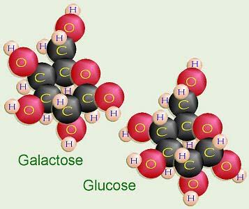 Organic Compounds Contain carbon and hydrogen Hydrocarbons C 8 H 18 gasoline and chlorinated
