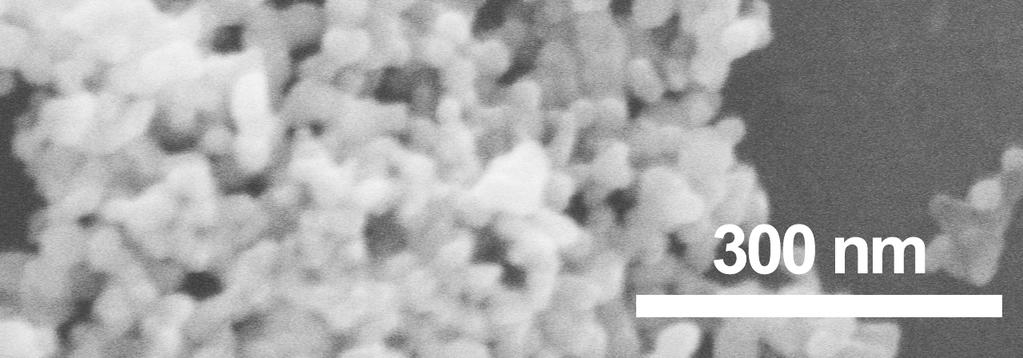 SEM image of P25 TiO2 particles which show an average particle size of 30 nm.