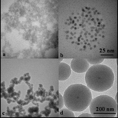 xide nanoparticles. However, in the absence of xygen the nanoparticles are not stabilized by the citrate ions and we get a matrix of cobalt and silicon oxide (Figure 2a). Figure 2.