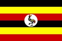 CONCLUDING REMARKS v Efforts on petroleum exploration in Uganda has been on for the last
