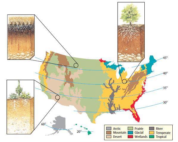 Figure 18 The United States has many different soil types. They vary in color, depth, texture, and fertility. Identify the soil type in your region.