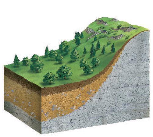 Topography The shape, length and grade of a slope affects drainage. The aspect of a slope determines the type of vegetation and indicates the amount of rainfall received.