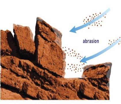 Other animals digging on the surface and running and living on the surface break apart rock aboveground, causing rock to slowly crumble.