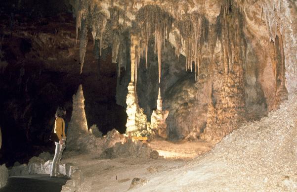 Figure 8 Limestone caves at Carlsbad Caverns National Park, New Mexico, has more than 110 limestone caves. The largest is called the Big Room.