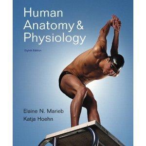 Required texts: Required texts: Human Anatomy and Physiology, Eighth Ed., Elaine N. Marieb & Katja Hoehn, Pearson Benjamin Cummings, 2009.