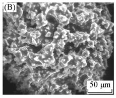 Crystallization Behavior and Mechanical Properties of Poly(vinylidene fluoride)/multi-walled Carbon Nanotube Nanocomposites XU Yue, ZHENG Wei-tao, YU Wen-xue, HUA Li-gui, ZHANG Yu-jie and ZHAO Zhu-di