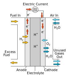 Hydrogen fuel cells offer a potential alternative to rechargeable cells and batteries. 76. The relative reactivity of different metals used in each half cell affects the voltage. 77.