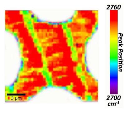 Figure 23 shows a Raman map of a typical EG Si Hall cross produced under the experimental growth conditions, which clearly resolves growth uniformity of the EG Si graphene over the (0001) terraces.