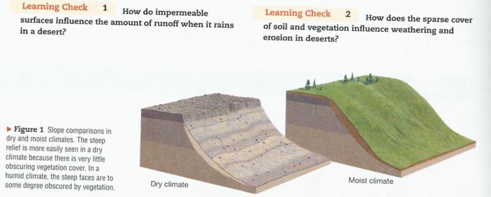 Ulrik s comment to text figure 1: Vegetation binds soil on the slope.