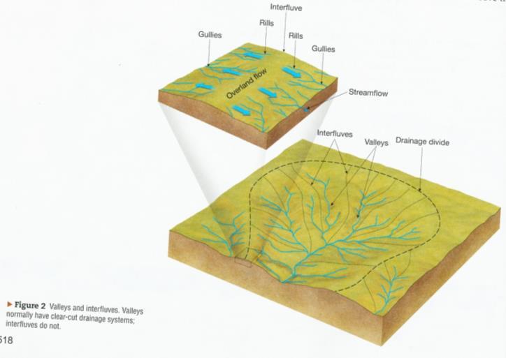 The drainage basin Important area