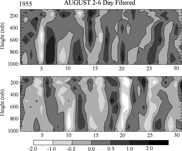 Notably, the simulations also showed faster growth rates for 1955 than for 1950; both were wet in the Sahel, but the rainbelt was not anomalously intense in 1950.