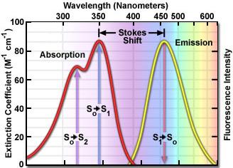 hu Light emission and absorption spectra Stokes shift is the