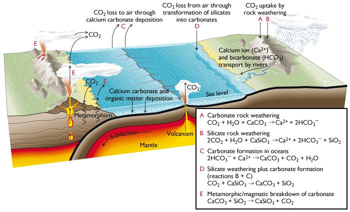Plate Tectonics and CO 2 p.556 Plate tectonics affects atmospheric CO 2, which factors into climate through the greenhouse effect. Volcanoes produce CO 2.