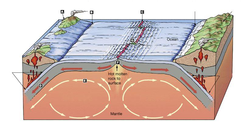 3.5.Main concepts of plate tectonics The lithosphere is divided into great blocks, called plates, which cover the surface of the Earth and fit together like a jigsaw.
