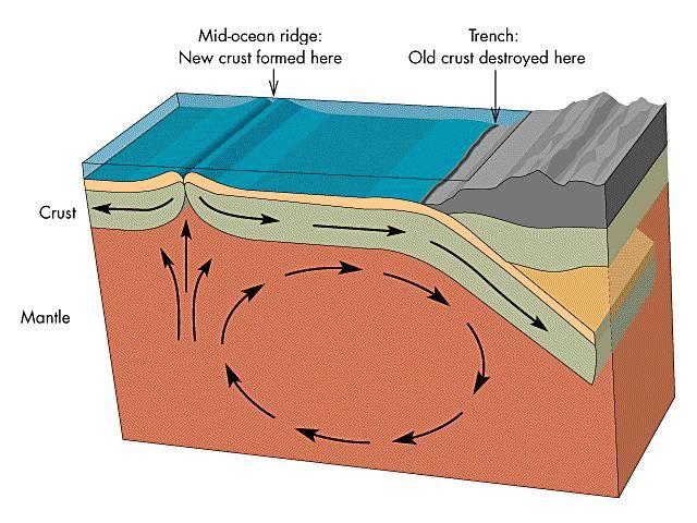 In addition to convection currents, there are two forces which cause movement in the lithosphere: -On elevated ridges, the force of
