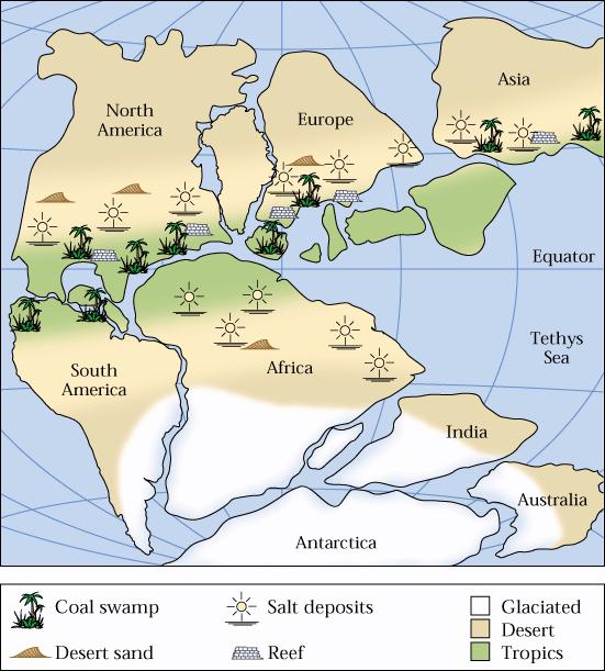 Evidence for Continental Drift Paleoclimate Evidence of extreme changes in climate as compared to the present