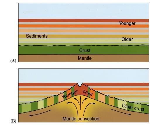 Give age of seafloor Increases away from ridge This means new magma is being created on the ridge.