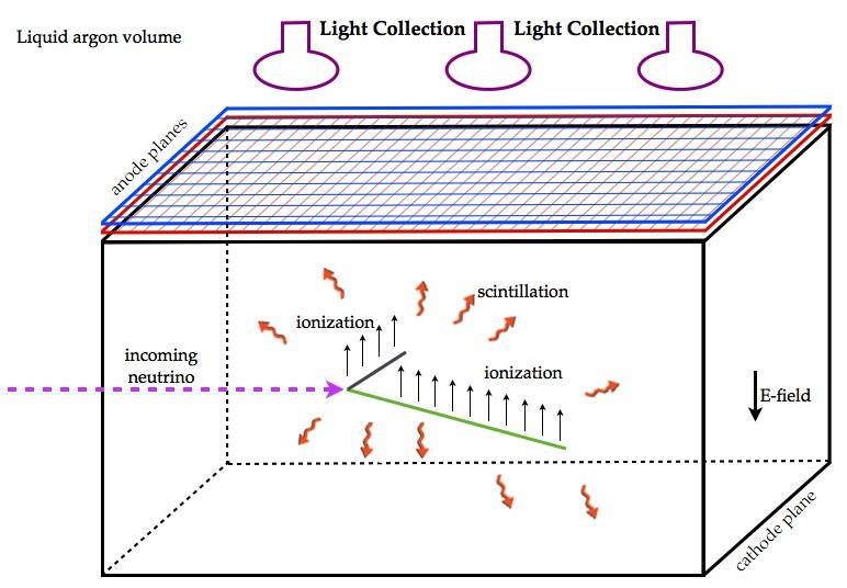 Reminder: The LArTPC principle Incoming neutrino interacts with argon producing charged particles which then ionize argon Scintillation light produced as well collected by light collecting devices