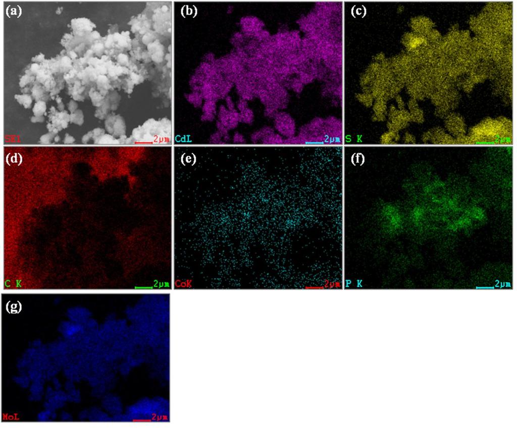 Fig.S2: (a) Electron micrograph and elemental mapping of CdS/RGO-MoS2@CoP nanocomposite