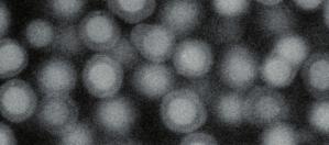 1 HALO PARTICLE This SEM photograph of sliced Fused-Core particles clearly shows the structure; a solid core surrounded by a porous halo. 2 SIGNIFICANTLY HIGHER EFFICIENCY HALO-5 3µm 3.