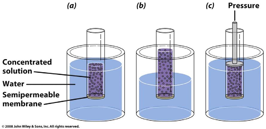 Osmosis In osmosis, the solvent (H 2 O) moves through a semipermeable membrane from the solution that has a lower concentration of solute into the solution where the solute concentration is higher.