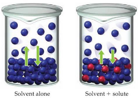 Why is the vapor pressure of a solution less than that of the pure solvent? As solute molecules are added to a solution, the solvent become less volatile (decreased vapor pressure).