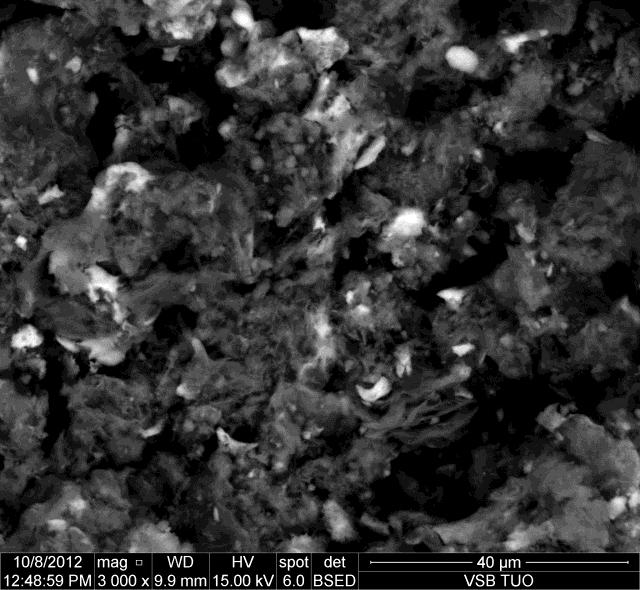 Fig. 3 SEM micrograph of isolated nanocomposite particle with lamellar microstructure after cavitation deposition of ZnS nanoparticles on MMT (Large Field Detector -