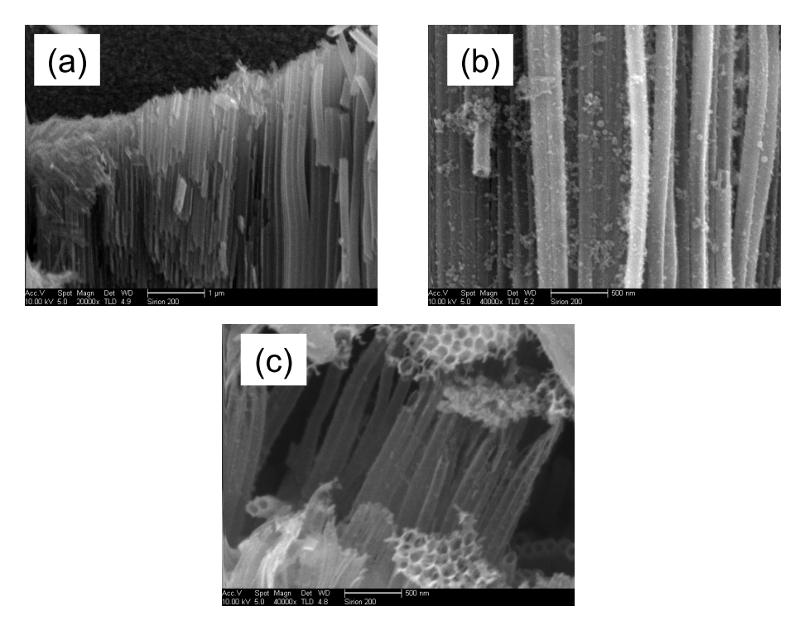 Figure S6. SEM images of TiO 2 NTs arrays before after grafted by TiO 2 :Ti 3+ nanoparticles.
