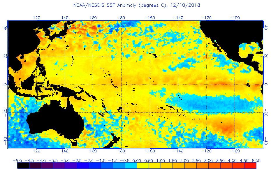 Figure 6: Early December 2018 SST anomalies across the Pacific Ocean.
