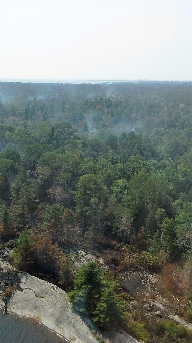 Above photo: This picture was taken August 13, 2018. It shows some smoke popping up through the canopy. These are known as hot spots. Generally speaking this is evident of smoldering surface fire.