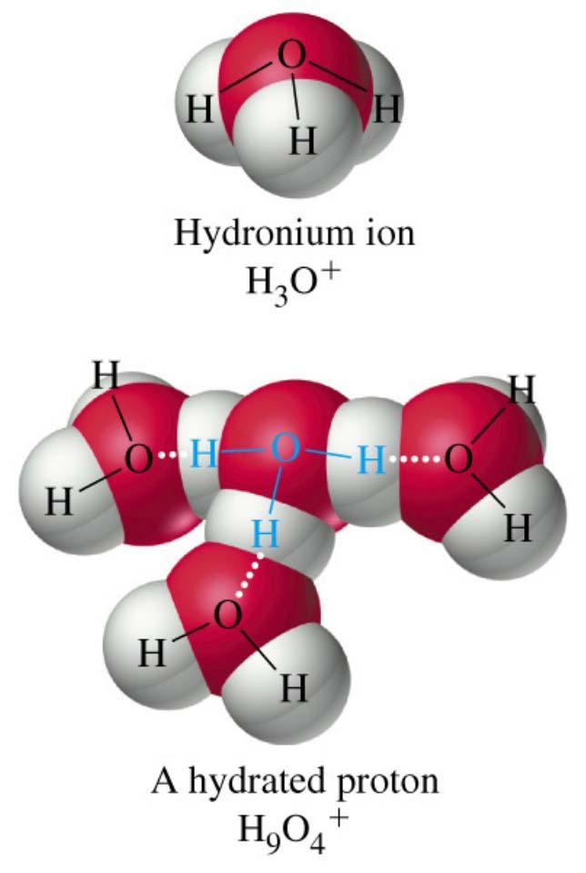 The hydronium ion becomes surrounded by water.