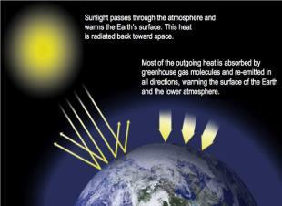 the main cause of the current global warming is human expansion of the "greenhouse effect.