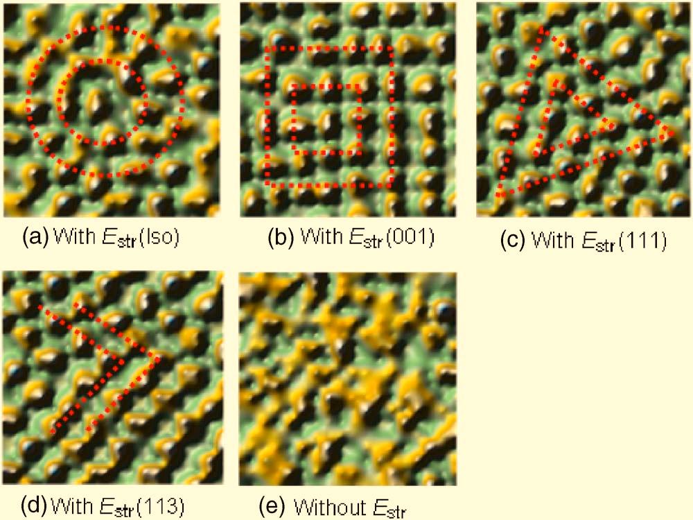 The island ordering and pattern on the surface of GaAs without strain energy E str is shown in e for comparison.