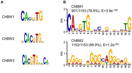 Transcription factor binding sites are shown as pictograms,