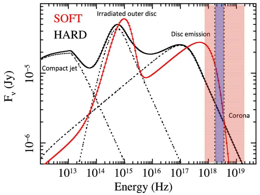 (dominant in the hard state) XMM + NuSTAR The optical and infrared band of the SEDs are due to emission from the irradiated disc The contribution at