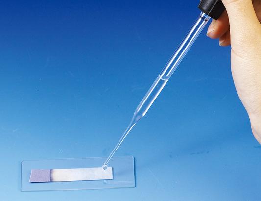 Test for hypochlorite ions Using litmus paper The bleaching action of a bleach is due to the