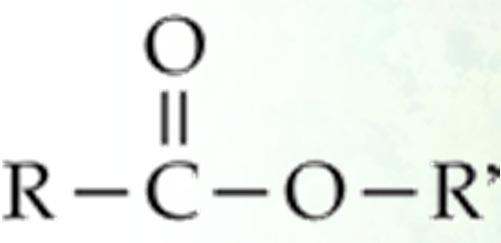 esterification takes place. During the reaction, an ester forms.