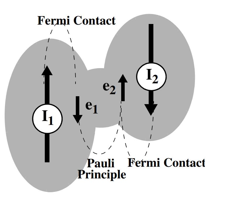 J coupling Scalar spin-spin coupling in the liquid state H coupling = 2π j<k J jki j zi k z Fermi contact interaction A = 2 3 µ 0 µ e µ n Ψ(0) 2