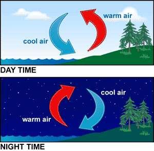 The wind we feel outside is often the result of convection currents. You can understand this by the winds you feel near an ocean. Warm air is lighter than cold air and so it rises.