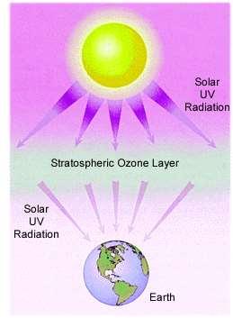 and infrared light) Radiation from the sun strikes