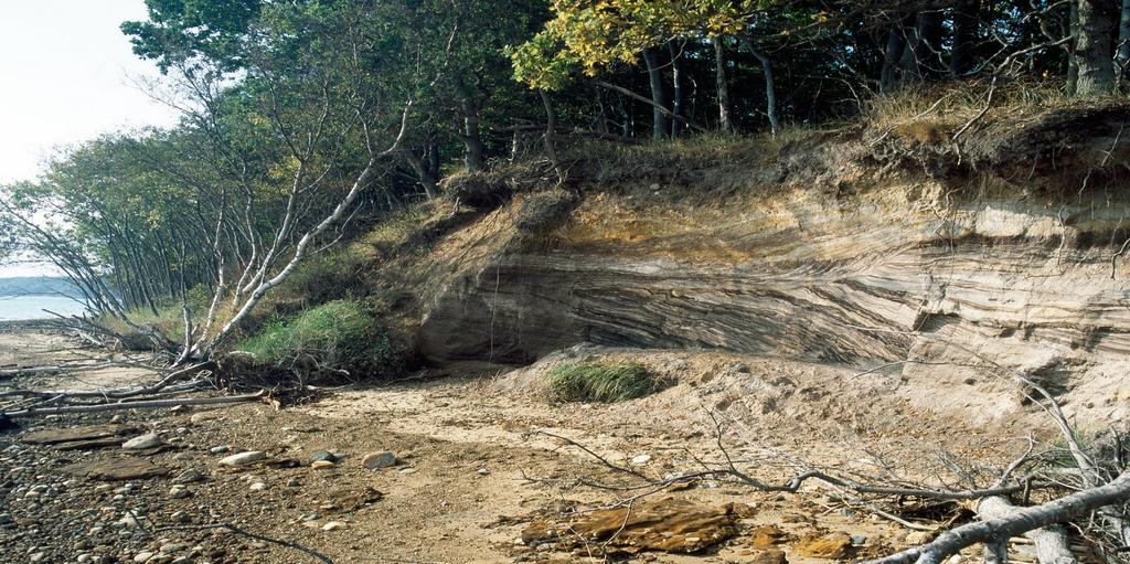 Cenozoic sandstone plays Paleocene and Eocene Deep