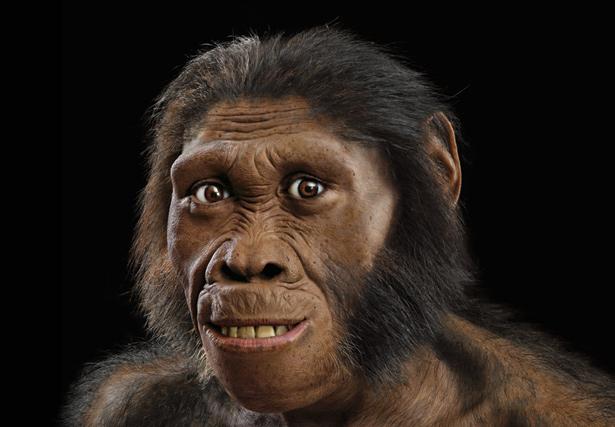 Australopithecus sediba http://ngm.
