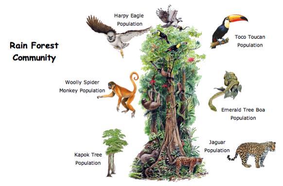 Study Methods of Organizational Organismal Ecology The interactions that an individual organism has with its environment can be referred to as organismal ecology and is the lowest level of ecology