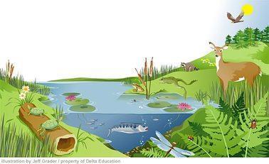 Principles of Ecology Ecology is the study of the interactions between organisms and the environment they live in.