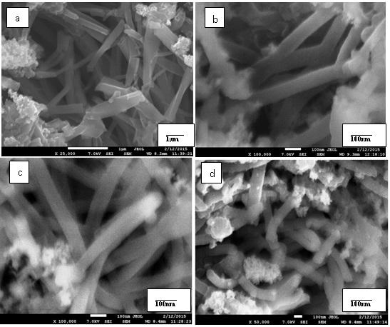 The procedure involved in this synthesis of PAni/Fe 3O 4 nanocomposite consists of two steps: the first step is the surface-modification of Fe 3O 4 nanoparticles in order that they will disperse