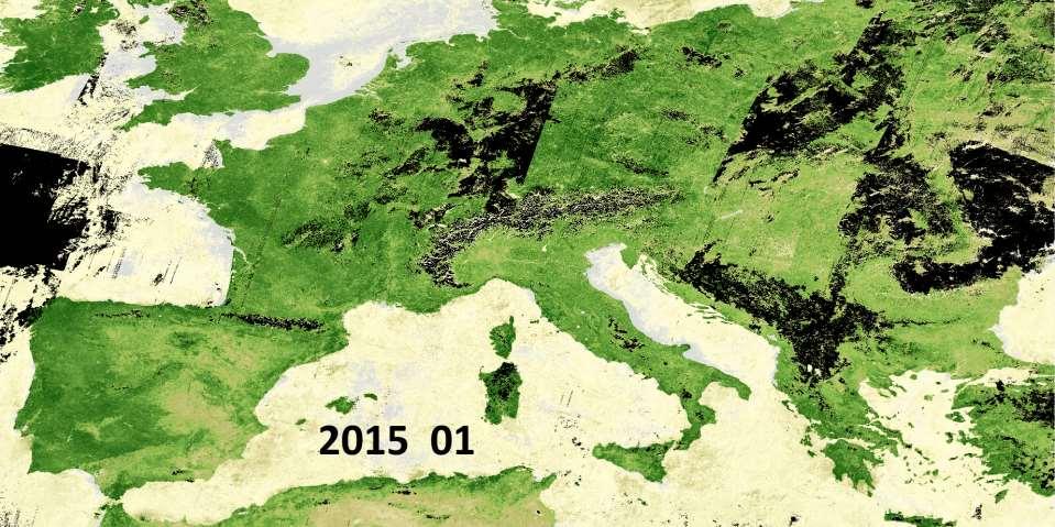 Monthly mosaic of NDVI composites: Europe PROBA-V 100 m regional to global compositing big data processing