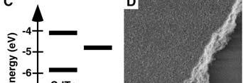 Paul Alivisatos 21 OCTOBER 2005 VOL 310 SCIENCE Transmission electron micrographs of (A) CdSe and (B) CdTe NCs used
