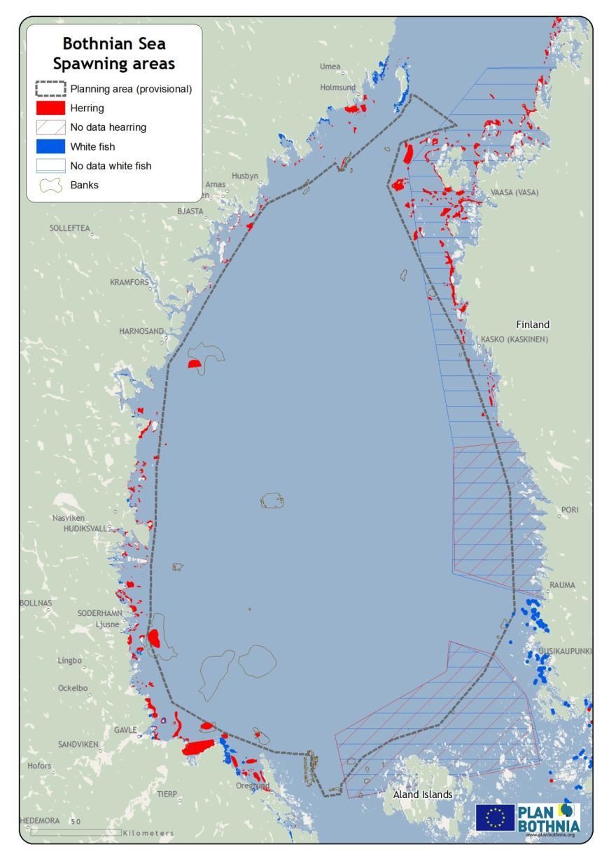 Estimation of areas with high ecological value for the offshore planning area As seen in the previous section only a limited number of protected areas, which would in most cases indicate some sort of