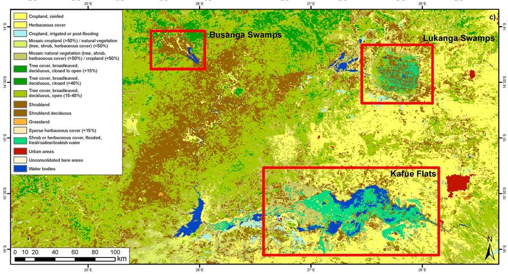 Use of SAR for wetland mapping 